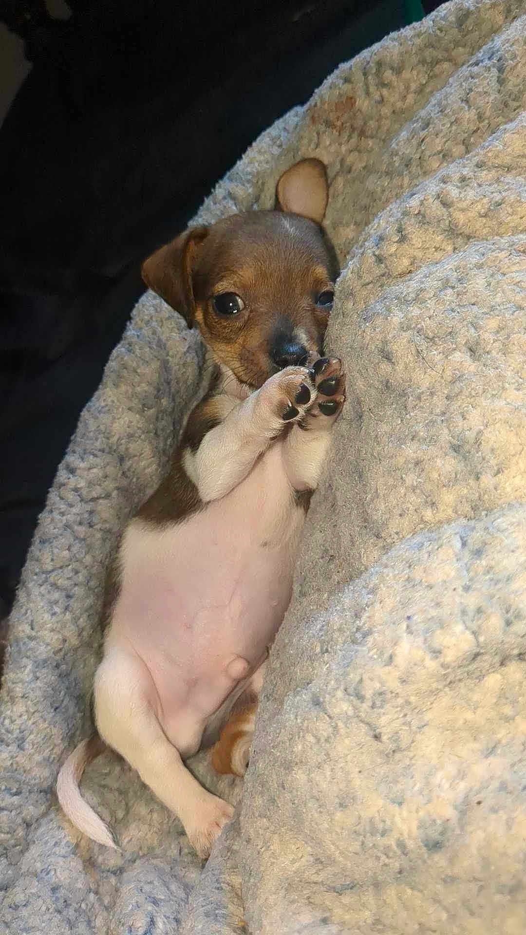 Tiny Man