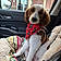 Sadie Jane