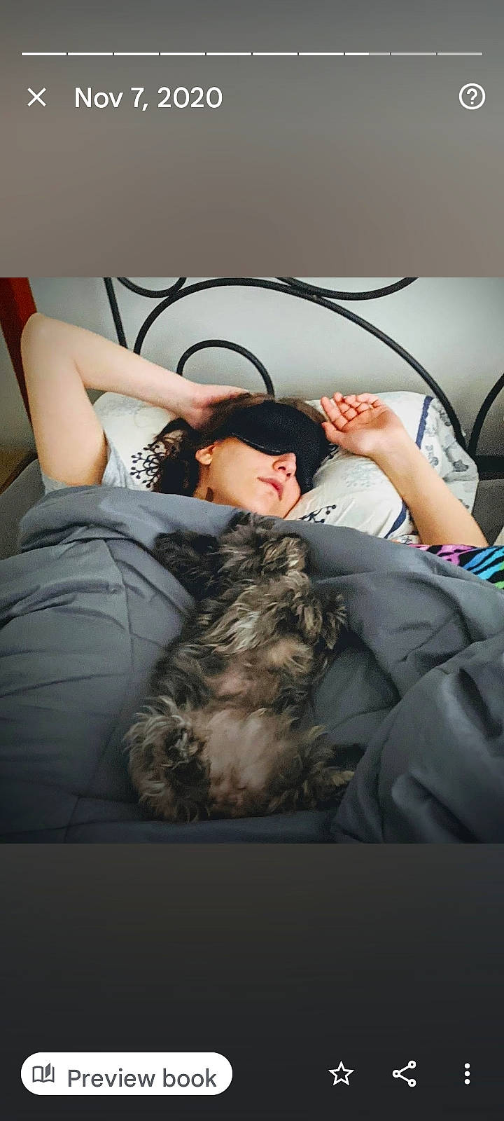 Scout joined the competition — help win amazing prizes! abdomen, audio_equipment, automotive_design, bed, black_hair, carnivore, comfort, companion_dog, couch, eyelash, felidae, flash_photography, fur, hairstyle, human_leg, long_hair, room, shoulder, sitting, thigh