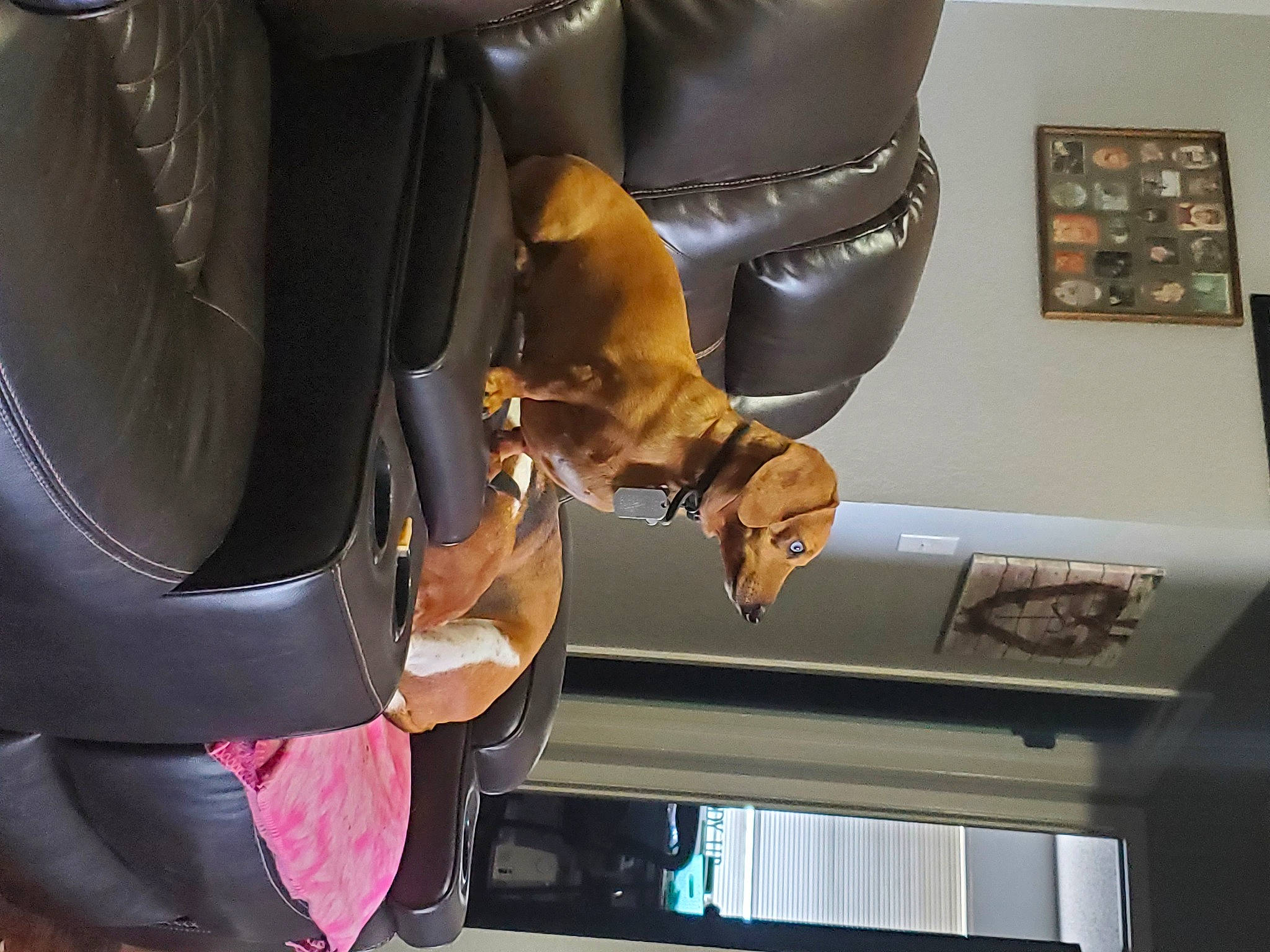 Tank is registered to the contest to win money with this photo: armrest, bag, chair, comfort, elbow, eyewear, fashion_accessory, gesture, glove, helmet, joint, leather, leather_jacket, luggage_and_bags, machine, military_person, personal_protective_equipment, picture_frame, room, wrist