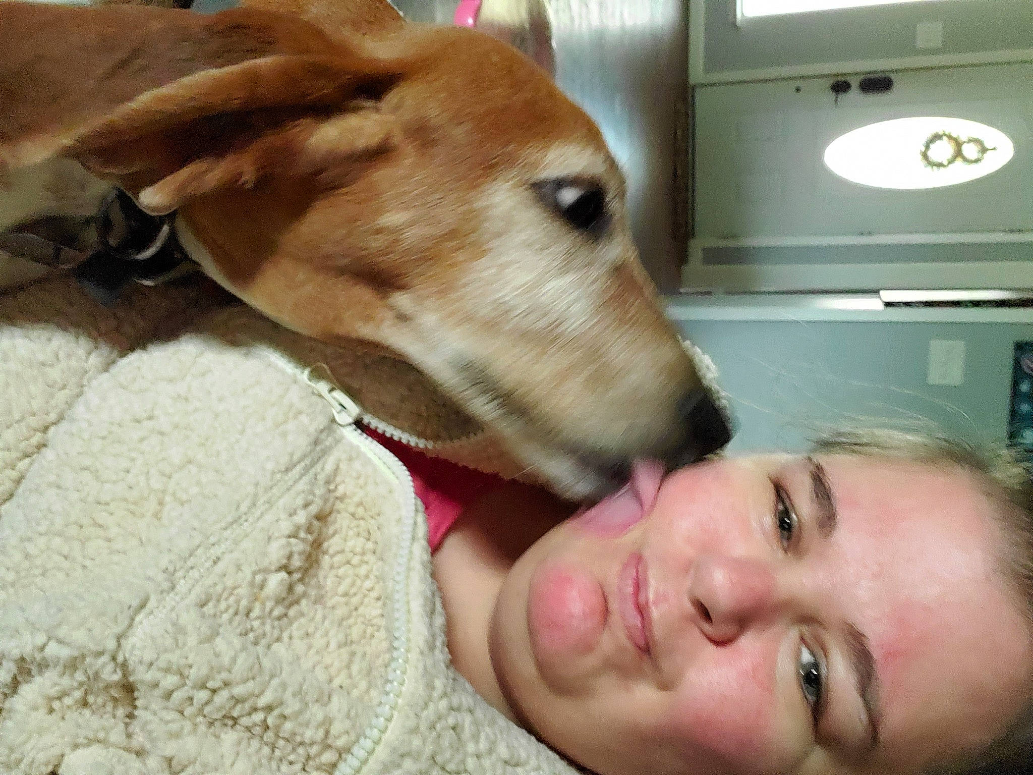 Hydro joined the competition — help win amazing prizes! carnivore, collar, comfort, companion_dog, dog, dog_breed, ear, fawn, fur, gesture, happy, home_appliance, jaw, nose, selfie, smile, snout, sporting_group, whiskers, working_animal