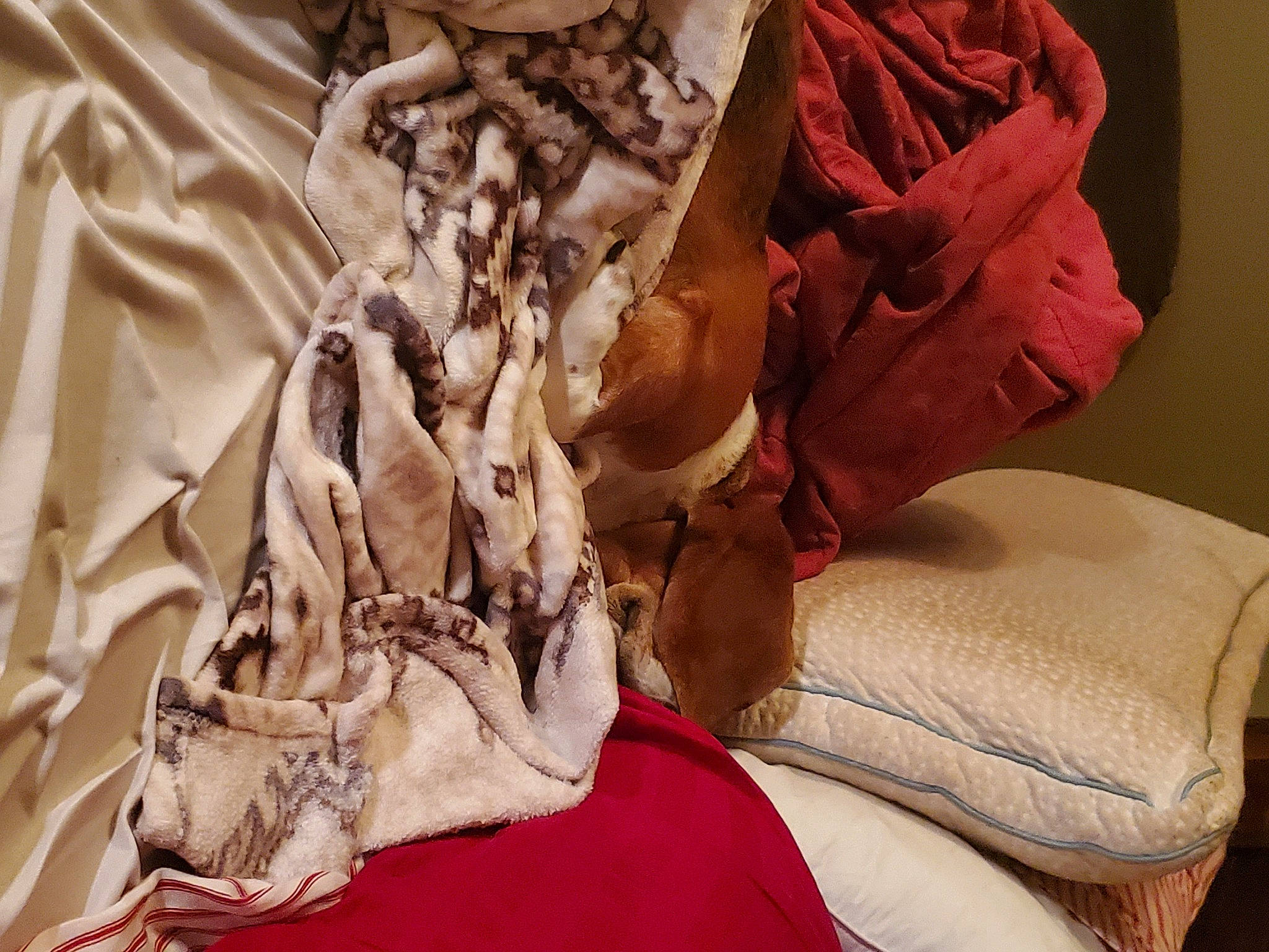 Hydro is registered to the contest to win money with this photo: art, bag, bed_sheet, bedding, carmine, comfort, costume_design, dress, fashion_accessory, fashion_design, fawn, fur, human_leg, linens, natural_material, pattern, peach, room, sleeve, wood