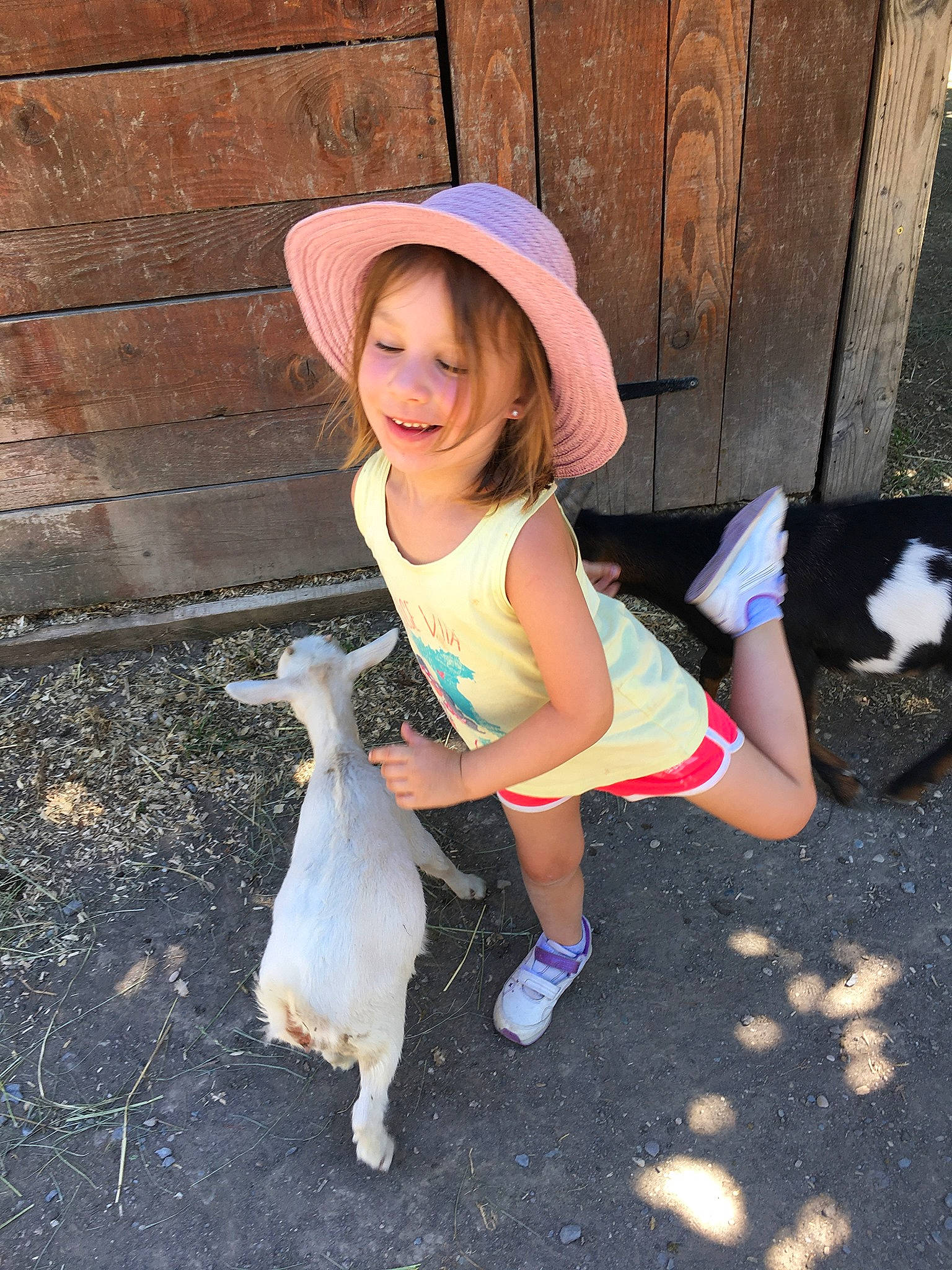 Salomé participe au concours pour gagner de l'argent avec cette photo : cat, clothing, cowboy_hat, fashion_accessory, fedora, felidae, foot, fur, hat, human, joy, livestock, person, sandal, small_to_medium_sized_cats, sun_hat, vertebrate