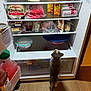 kitten, cat, refrigerator, food, milk, bread, juice, yogurt, plastic_container, wooden_floor, kitchen, curious, standing, domestic, indoor, grocery, snack, open_fridge, pet, candid