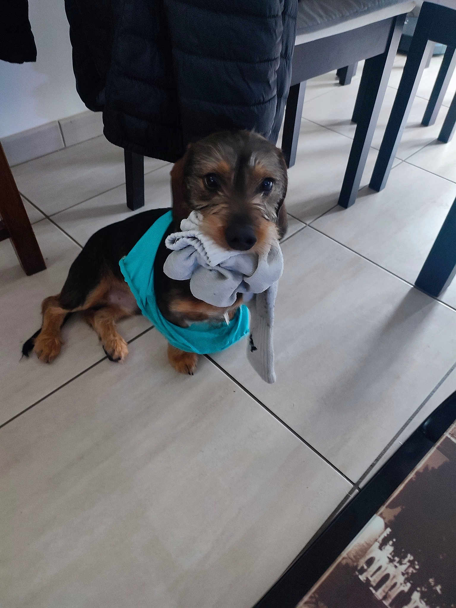 Benji