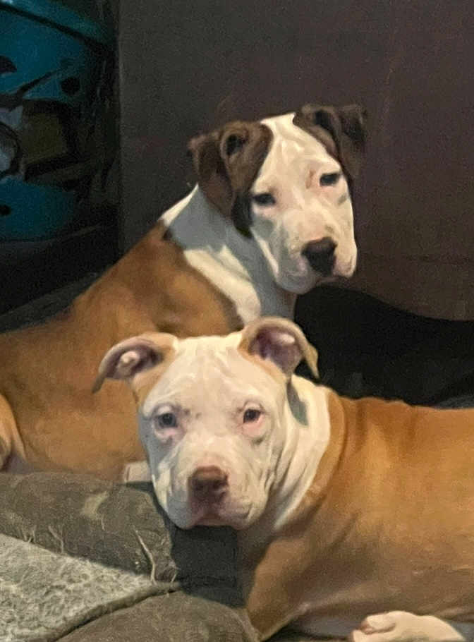 Buddy And Janice