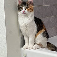 Nabi is registered to the contest to win money with this photo:
