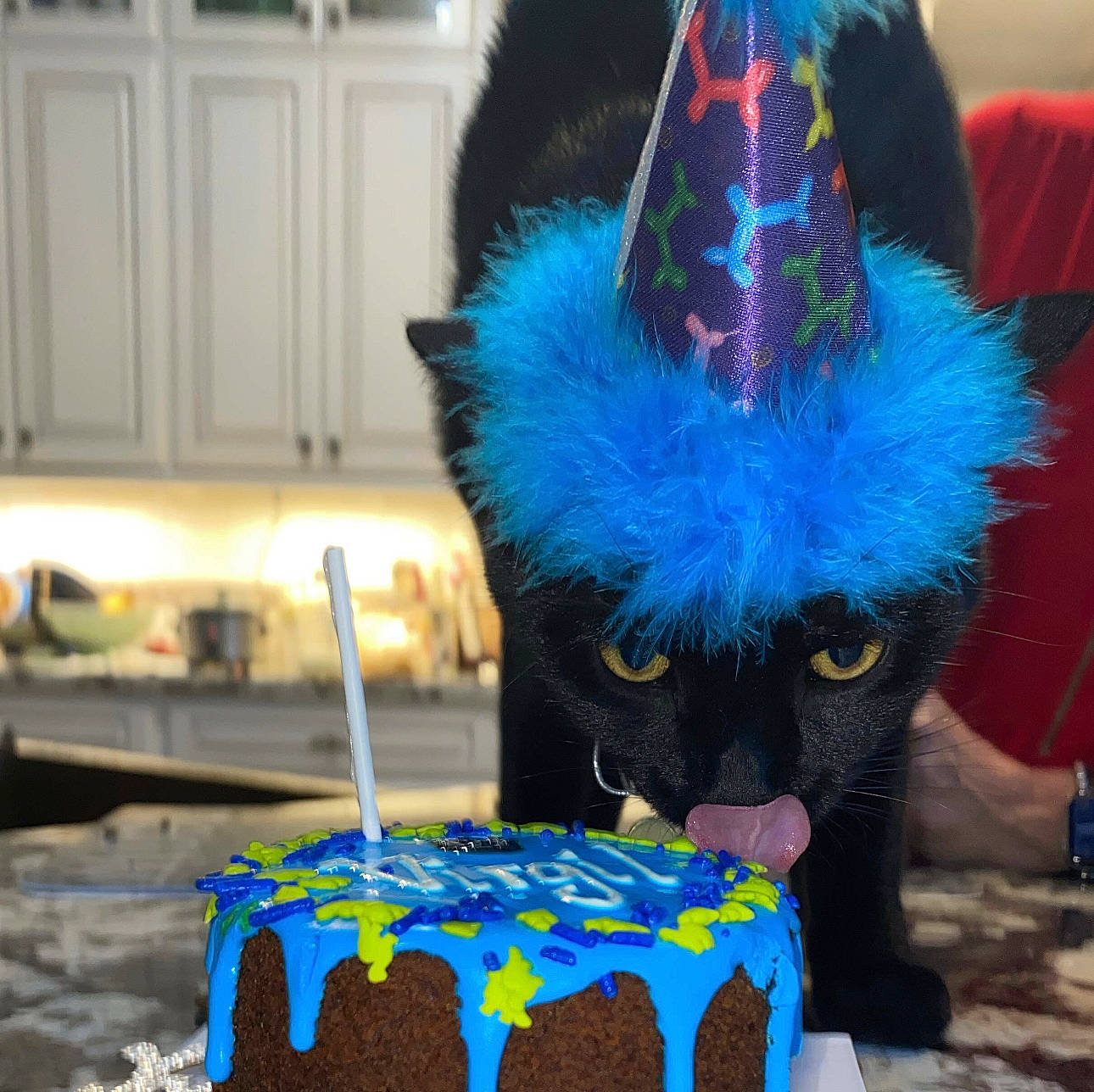 Virgil is registered to the contest to win money with this photo: baked_goods, baking_cup, birthday_cake, blue, buttercream, cake, cake_decorating, cake_decorating_supply, dessert, electric_blue, event, food, icing, ingredient, party_hat, party_supply, plate, sugar_cake, sugar_paste, sweetness