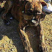 Laos participe au concours pour gagner de l'argent avec cette photo :