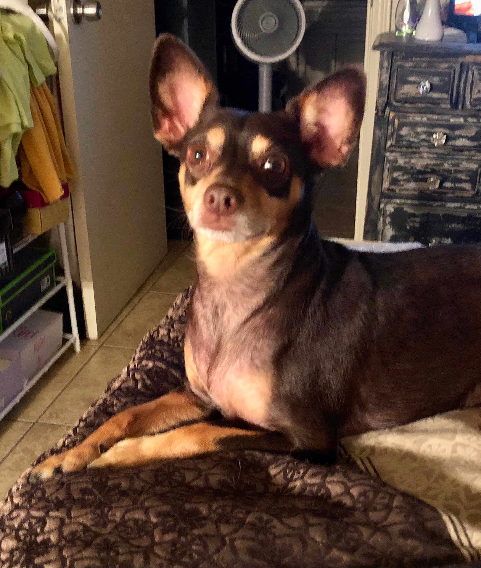 Rosie