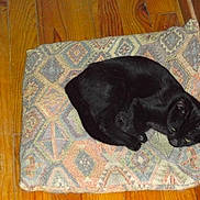 Méphisto a rejoint le concours — aidez-le/la à gagner de superbes lots !