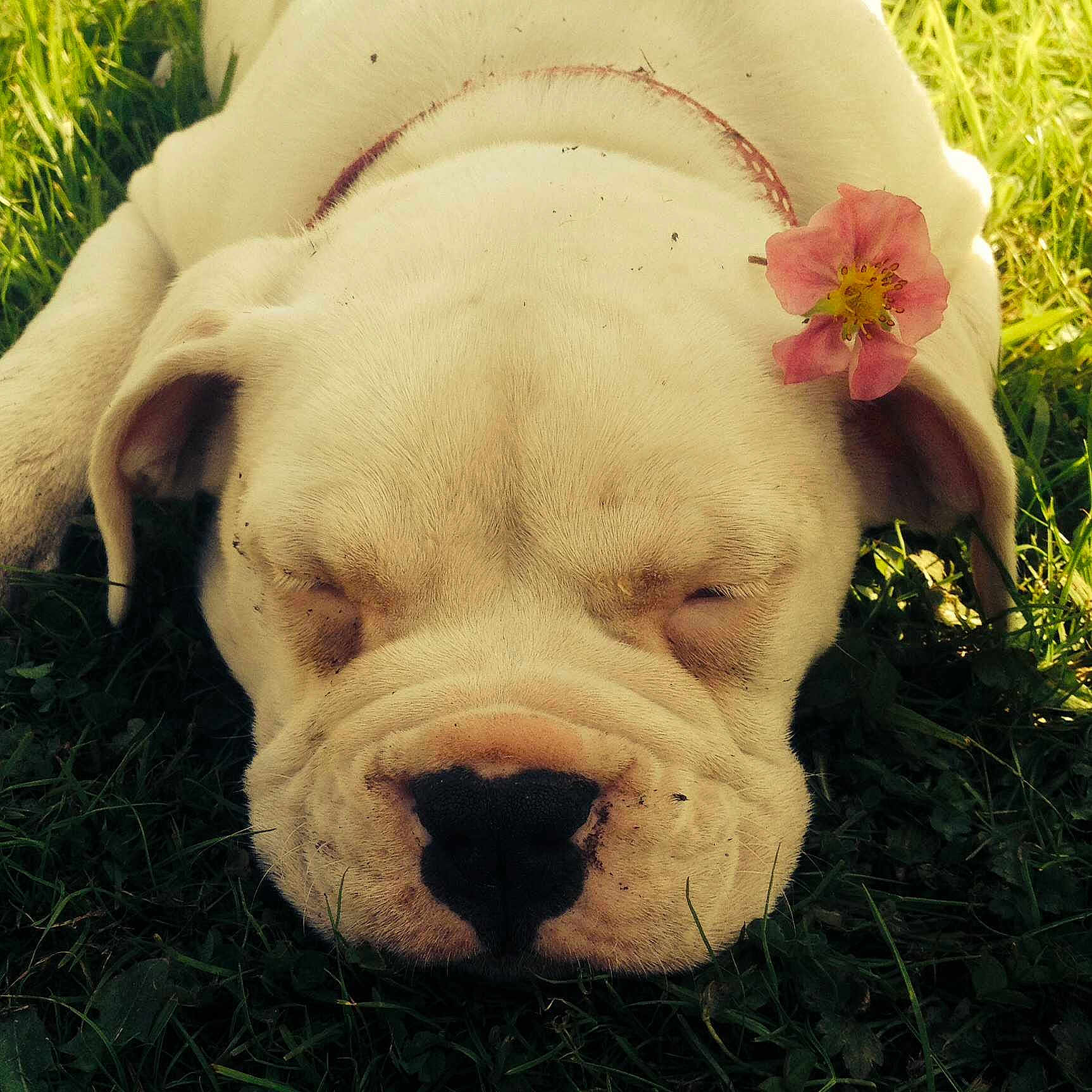 Molly joined the competition — help win amazing prizes!