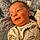 Tristan