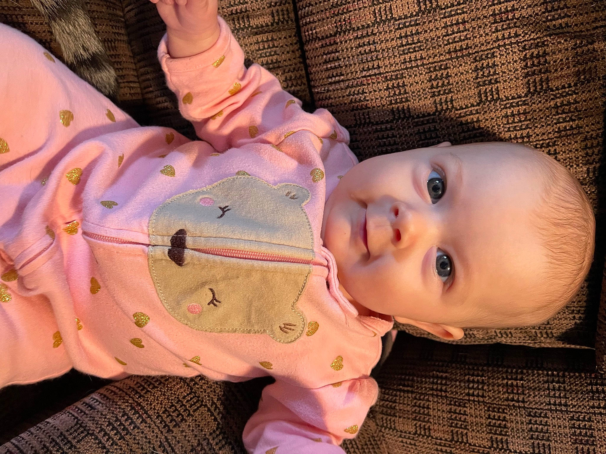 Elise joined the competition — help win amazing prizes! baby, baby_toddler_clothing, cheek, chin, ear, eyebrow, eyelash, finger, hairstyle, human_body, iris, lip, mouth, nose, person, pink, skin, sleeve, textile, toddler
