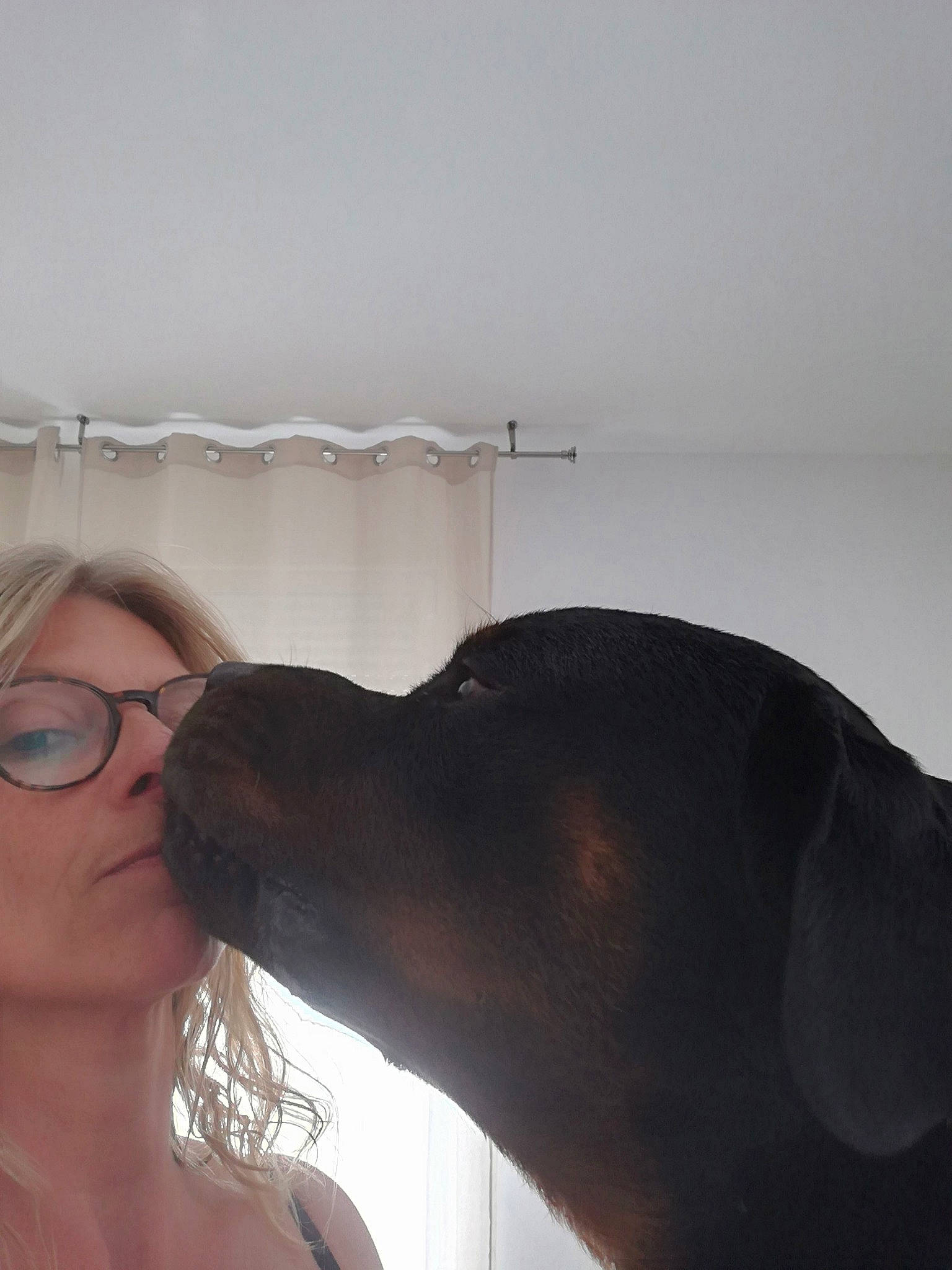 Olympe participe au concours pour gagner de l'argent avec cette photo : beauty, canidae, carnivore, companion_dog, dog, dog_breed, ear, guard_dog, head, love, neck, nose, photography, selfie, snout, sporting_group