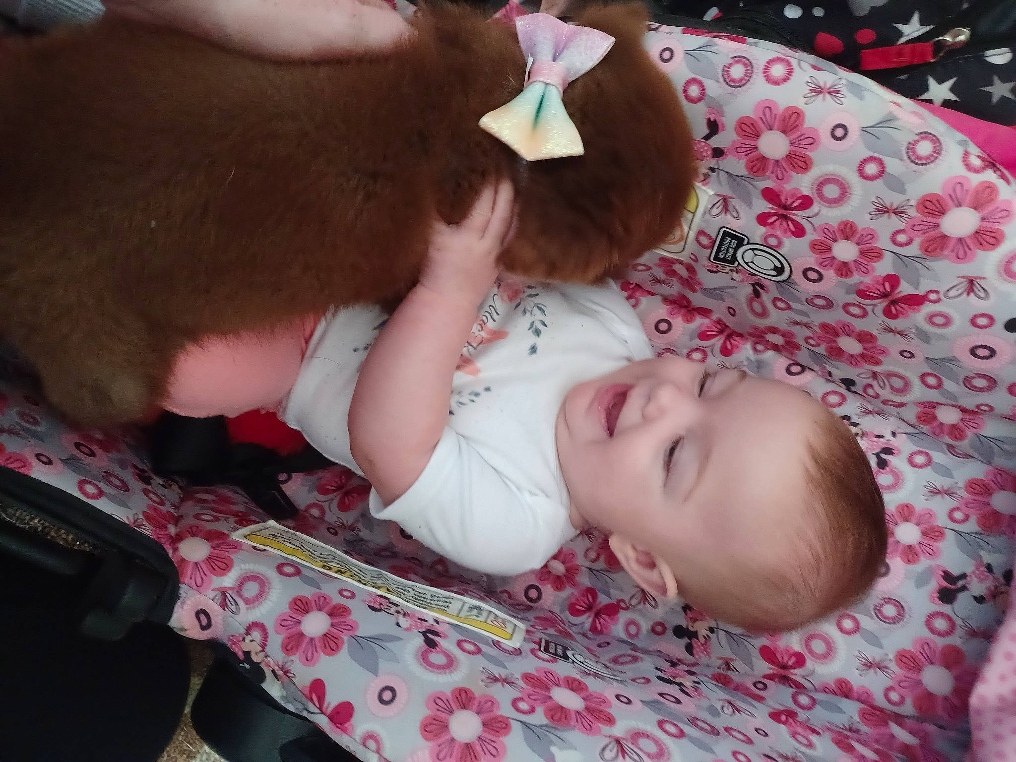 Mackenzie is registered to the contest to win money with this photo: baby, baby_products, baby_toddler_clothing, cheek, child, comfort, eyelash, gesture, grass, happy, head, iris, lip, mouth, pattern, person, pink, skin, sleep, toddler