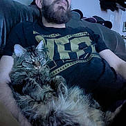 Pepper is registered to the contest to win money with this photo: arm, beard, cat, couch, cozy, fur, glasses, hat, indoor, living_room, looking_up, person, pet, portrait, relaxing, sitting, sofa, t_shirt, tabby_cat, whiskers