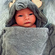 Milo a rejoint le concours — aidez-le/la à gagner de superbes lots ! baby, towel, hood, face, eyes, skin, blanket, cute, infant, child, portrait, soft, gray, ears, wrapped, newborn, expression, lying_down, indoors, warm