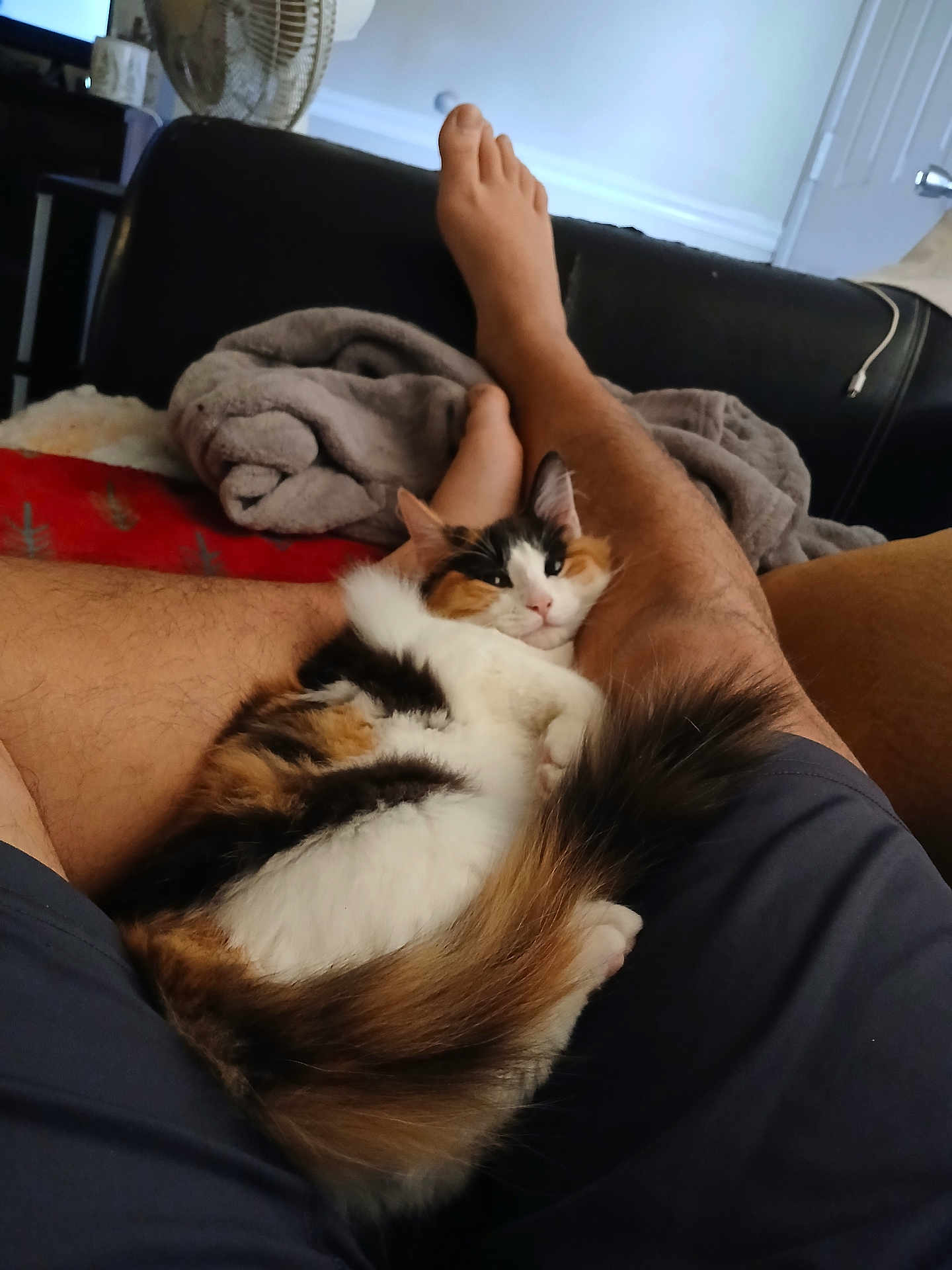 Coco