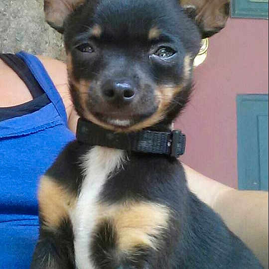 Jack