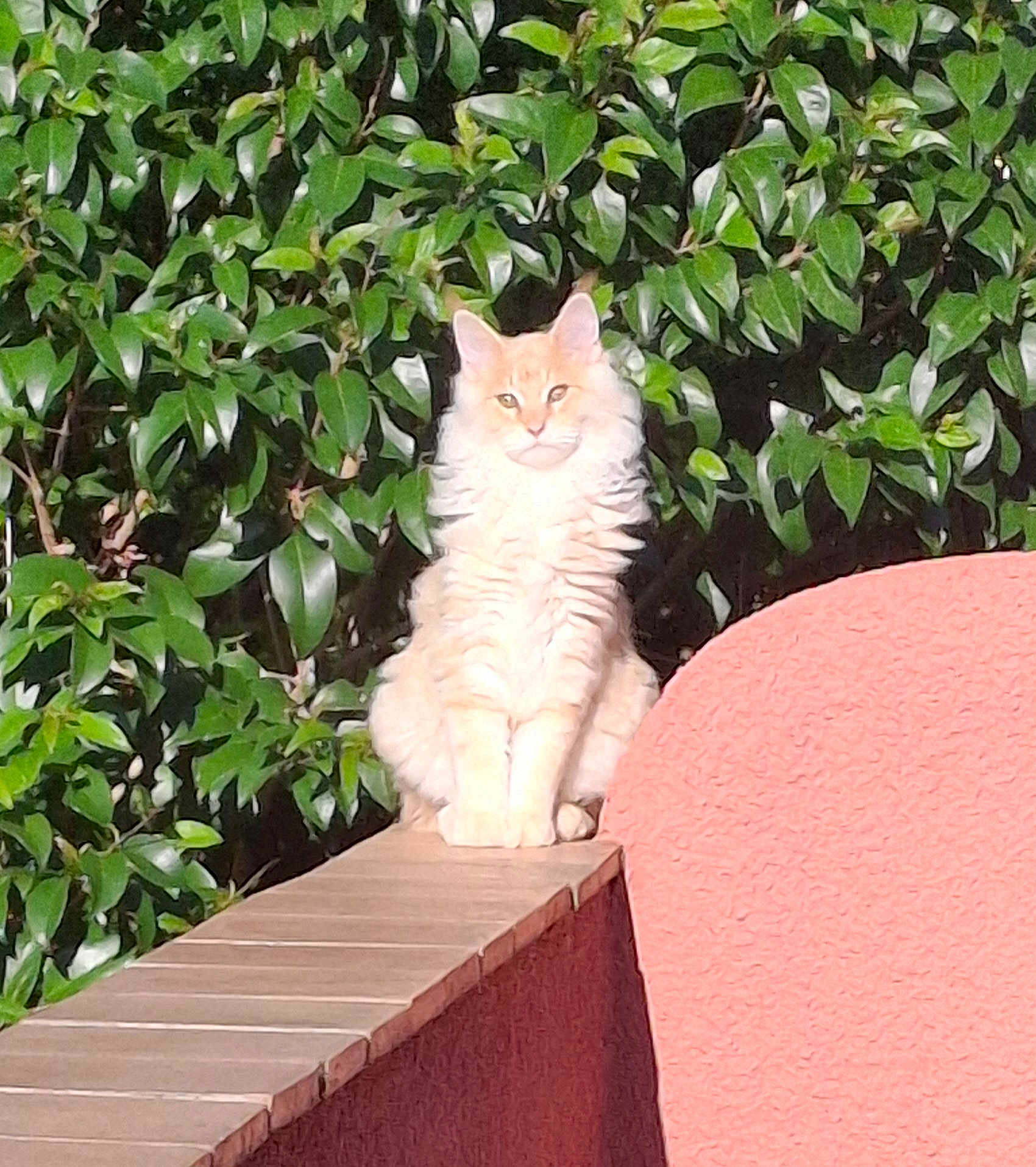 Assimba