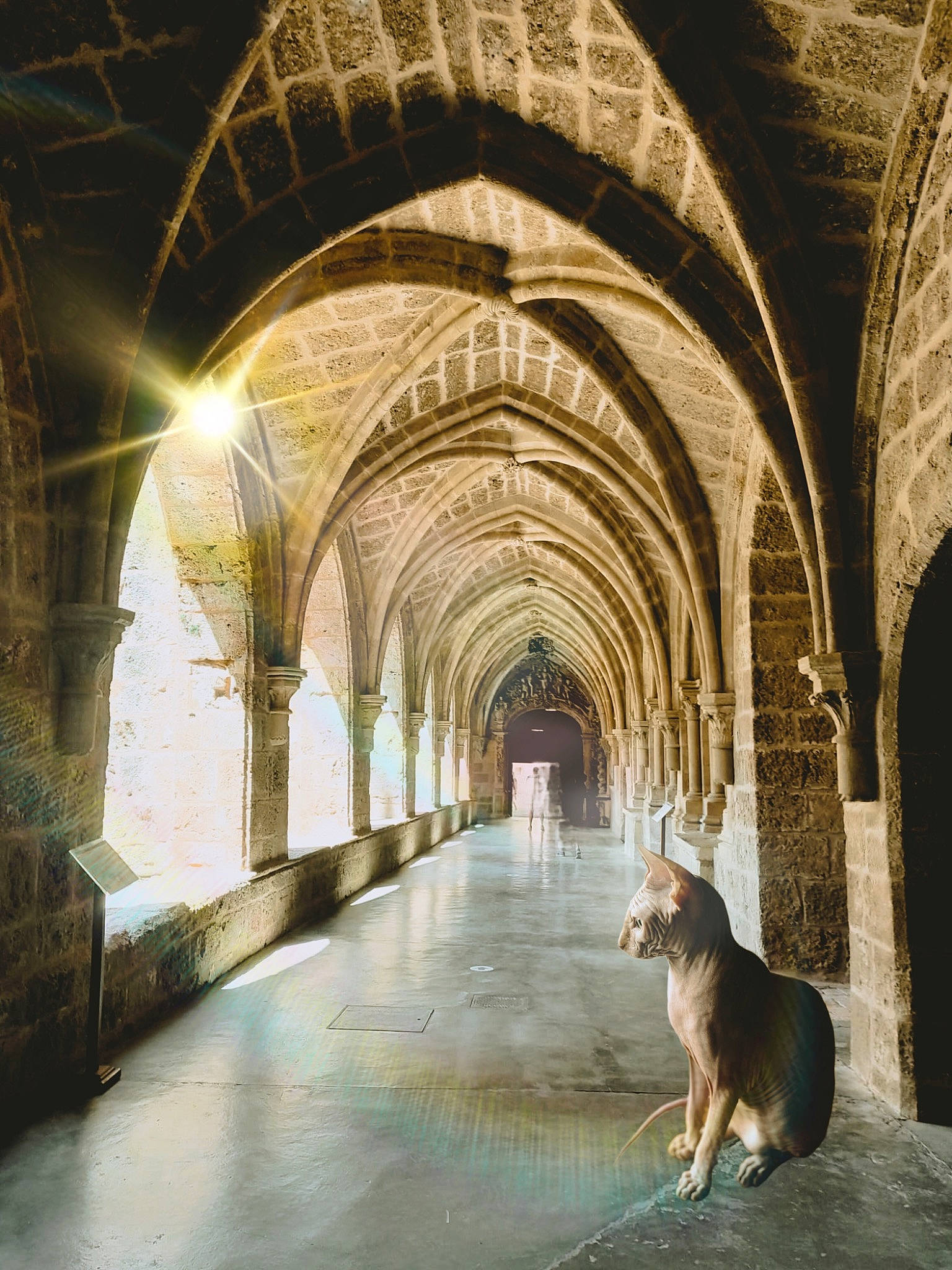 Tchouley a rejoint le concours — aidez-le/la à gagner de superbes lots ! arcade, arch, art, building, carnivore, column, companion_dog, crypt, darkness, dog, dog_breed, history, holy_places, infrastructure, medieval_architecture, road_surface, stock_photography, symmetry, vault, working_animal