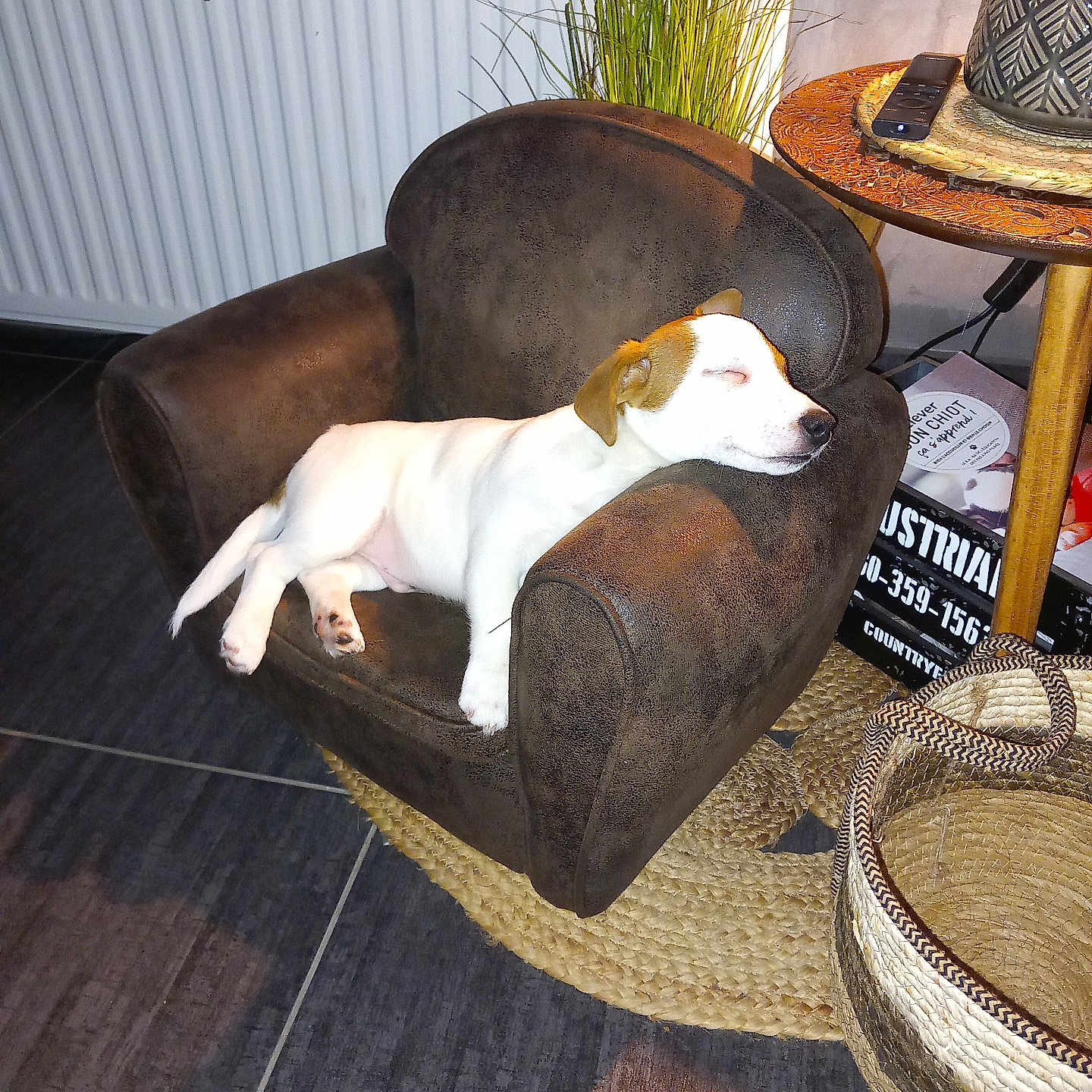 Ulko