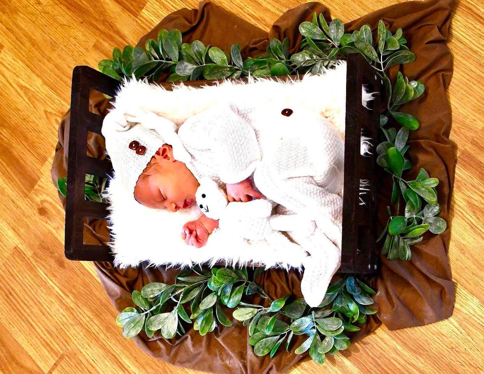 Adam joined the competition — help win amazing prizes! art, baby, conifer, floral_design, flower_arranging, grass, hardwood, herb, home_accessories, interior_design, linens, pattern, person, petal, plant, recipe, rectangle, room, rose, sugar_cake