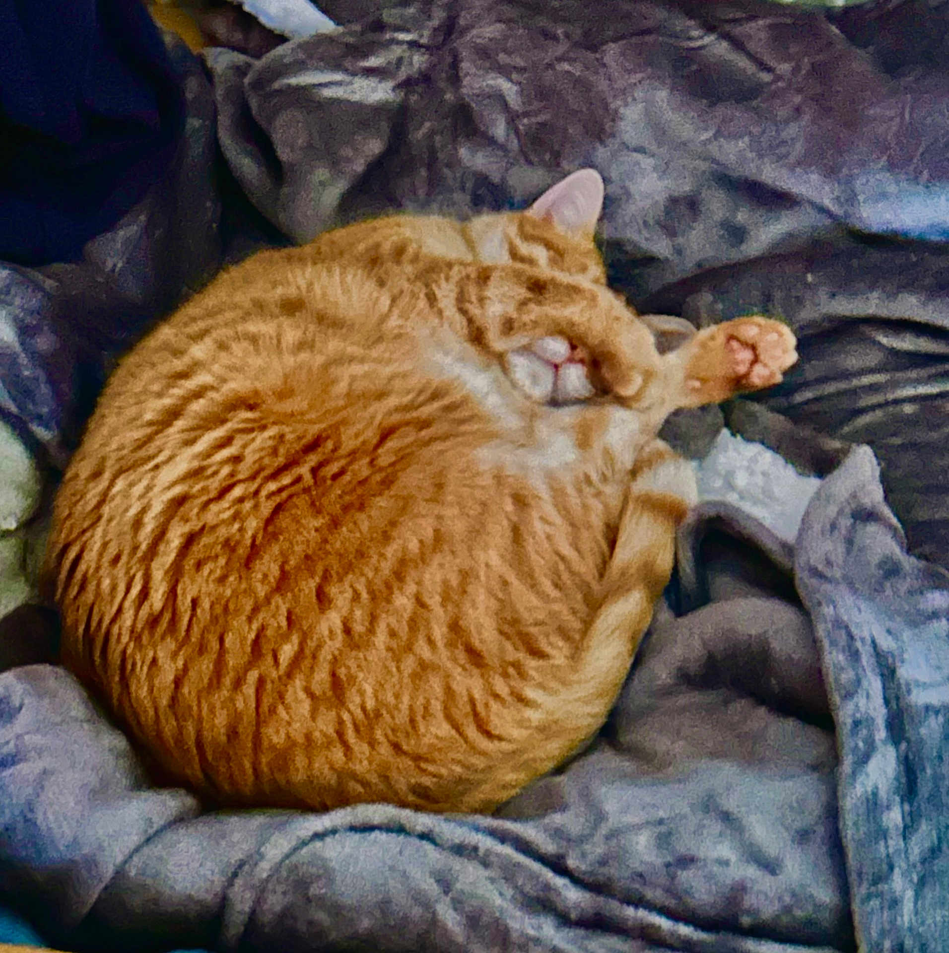 Caramel