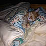 Caramel a rejoint le concours — aidez-le/la à gagner de superbes lots ! animal, bed, blanket, cat, comfort, cozy, cute, fur, indoor, orange_tabby, patterned_blanket, paws, peaceful, pet, relaxing, resting, sleeping, snug, soft, warm