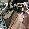 animal, bed, black_dog, blanket, cabinet, cat, companion, cozy, curious, dog, domestic, floor, furniture, gray_cat, indoor, pet, pink_blanket, resting, soft, window