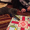 blue_piece, board_game, carpet, cat, cozy, floor, game_board, game_piece, gray_cat, hand, indoor, numbers, patterned_carpet, person, pet, playing, reaching, relaxed, sweatshirt, yellow_piece