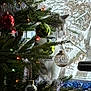 Angus joined the competition — help win amazing prizes! animal, branches, cat, christmas_tree, curious, decorations, festive, gray, greenery, holiday, indoor, lights, nature, ornaments, pet, seasonal, snow, white, window, winter