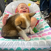 Paisley joined the competition — help win amazing prizes! baby, puppy, baby_chair, outdoor, happy, smiling, dog, pet, infant, toys, people, footwear, plants, nature, colorful, cute, playful, companionship, candid, joy