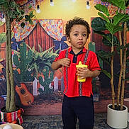 Adonis And Brayden is registered to the contest to win money with this photo: child, toddler, red_shirt, navy_pants, yellow_sippy_cup, curly_hair, indoor, potted_plants, decorative_backdrop, cactus, string_lights, guitar, rug, sandals, festive, colorful, standing, serious_expression, floor, decor