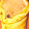 puppy, sleeping, blanket, yellow, cute, fluffy, wrapped, cozy, animal, pet, fur, nose, ears, soft, resting, domestic_animal, warm, snug, closeup, adorable
