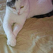 Civallero participe au concours pour gagner de l'argent avec cette photo :