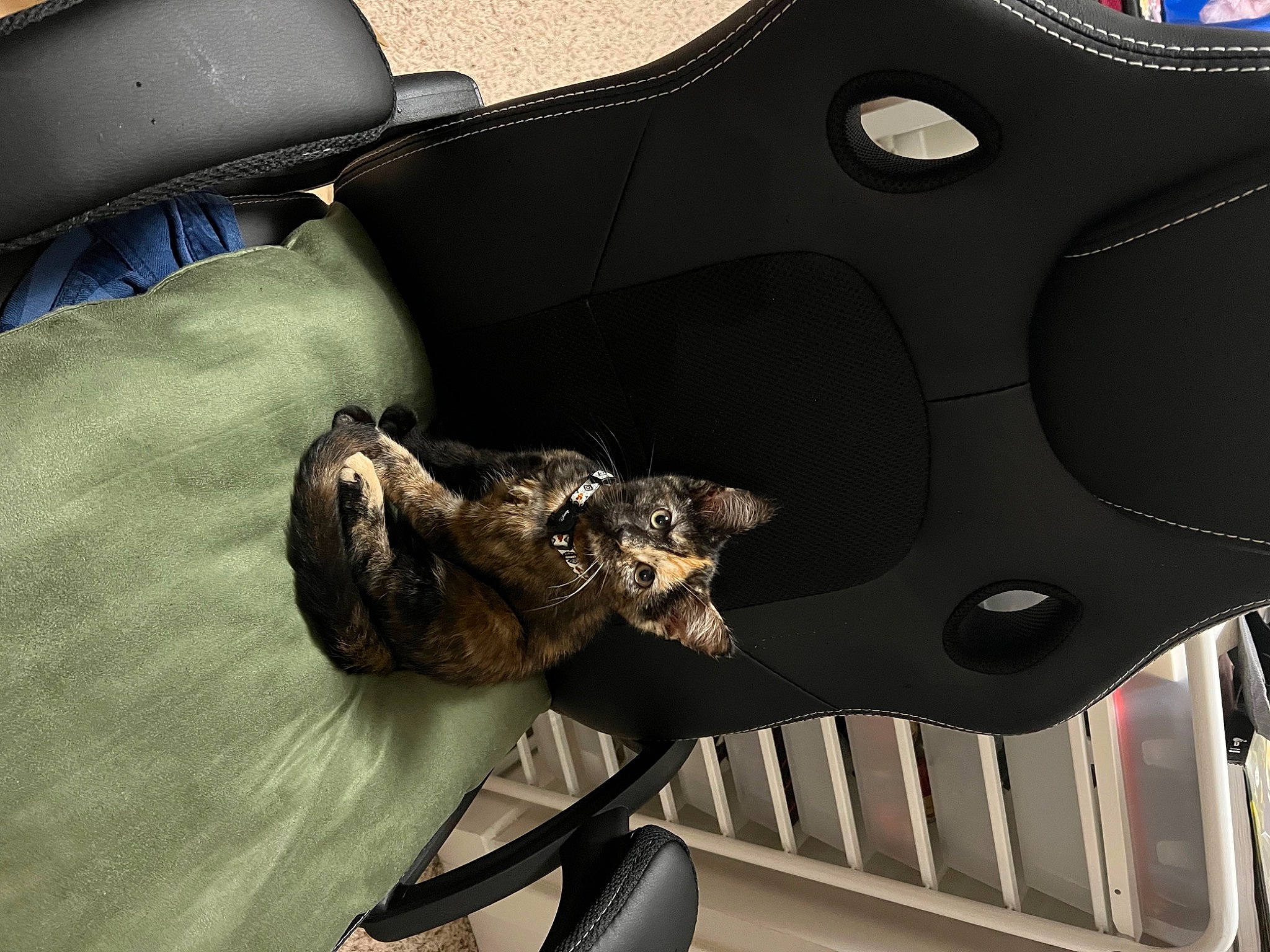 Beauregard is registered to the contest to win money with this photo: auto_part, automotive_design, automotive_exterior, automotive_tire, automotive_wheel_system, bicycle_part, bumper, carmine, comfort, luxury_vehicle, metal, motor_vehicle, personal_luxury_car, personal_protective_equipment, rim, tire, vehicle, vehicle_door, wheel, wood