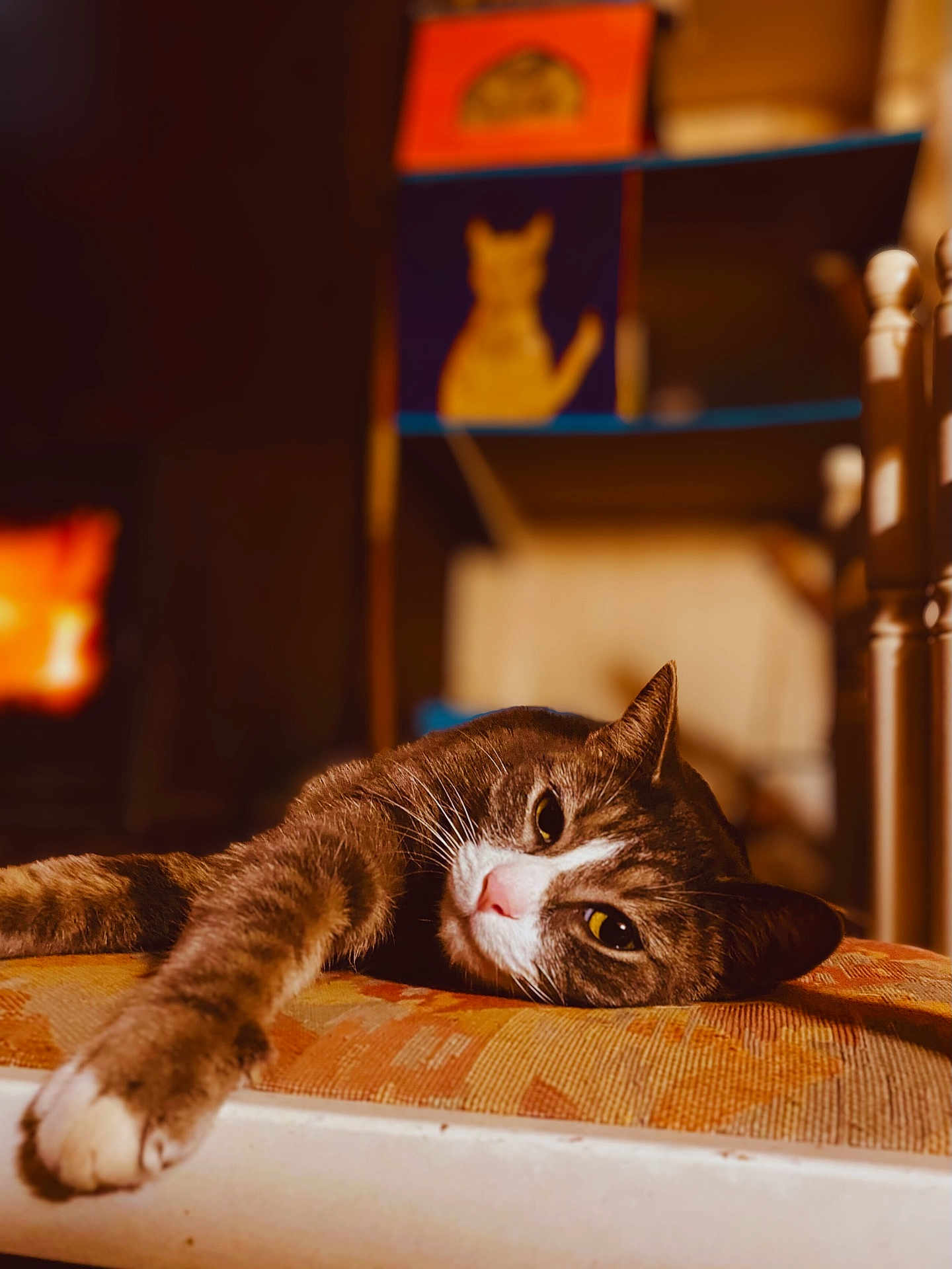 Grisette participe au concours pour gagner de l'argent avec cette photo : cat, tabby, paw, whiskers, relaxed, sleepy, indoor, cozy, warm_tones, close_up, portrait, furniture, cushion, chair, shelf, decor, pet, orange_light, depth_of_field, home