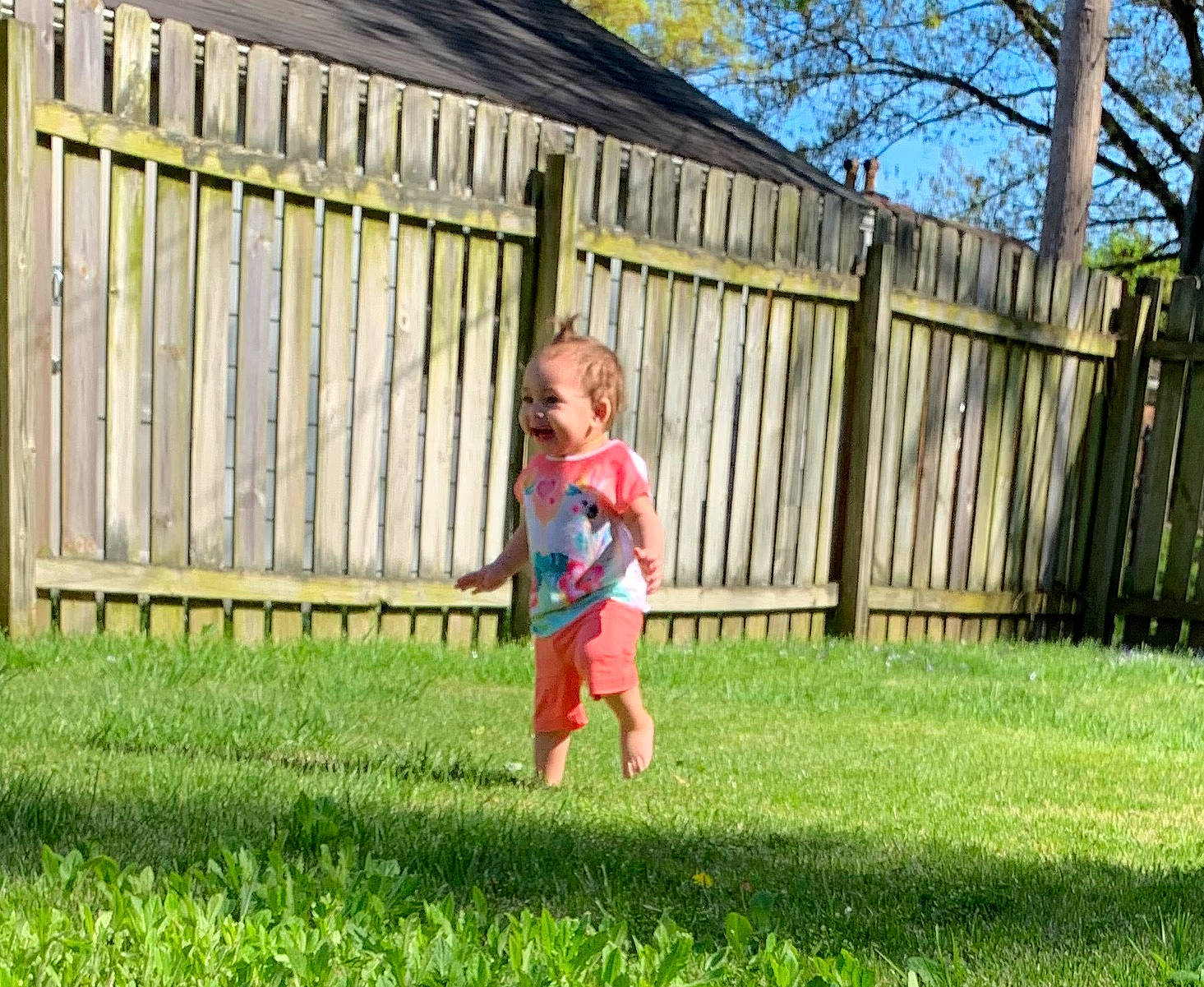 Maisyn is registered to the contest to win money with this photo: backyard, child, fence, garden, grass, grass_family, home_fencing, landscaping, lawn, meadow, person, picket_fence, plant, play, toddler, tree, yard