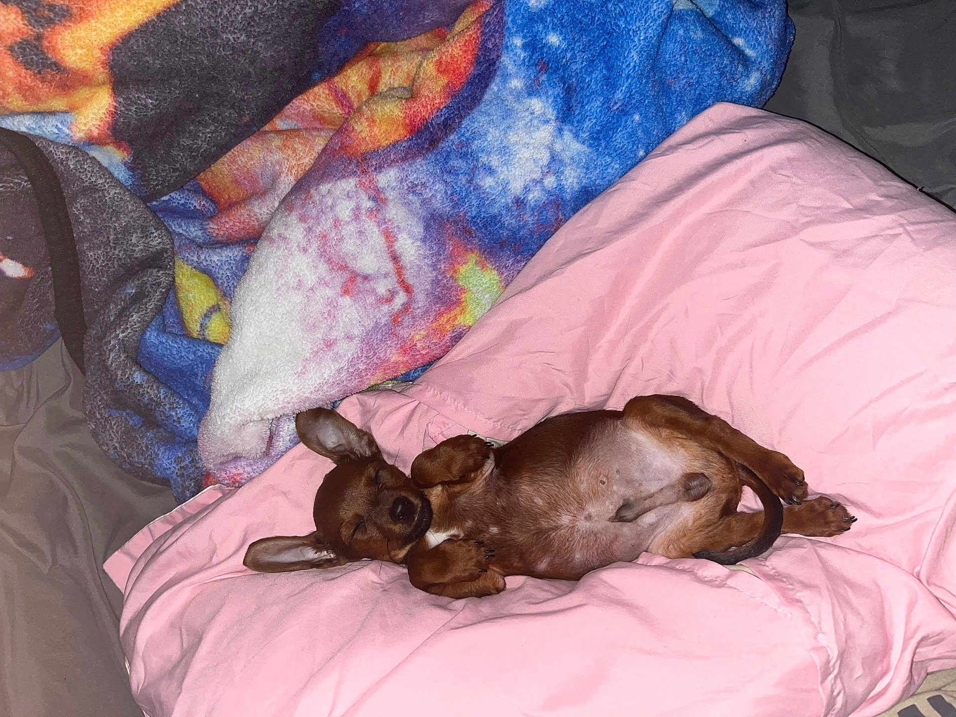 Brownie Conner