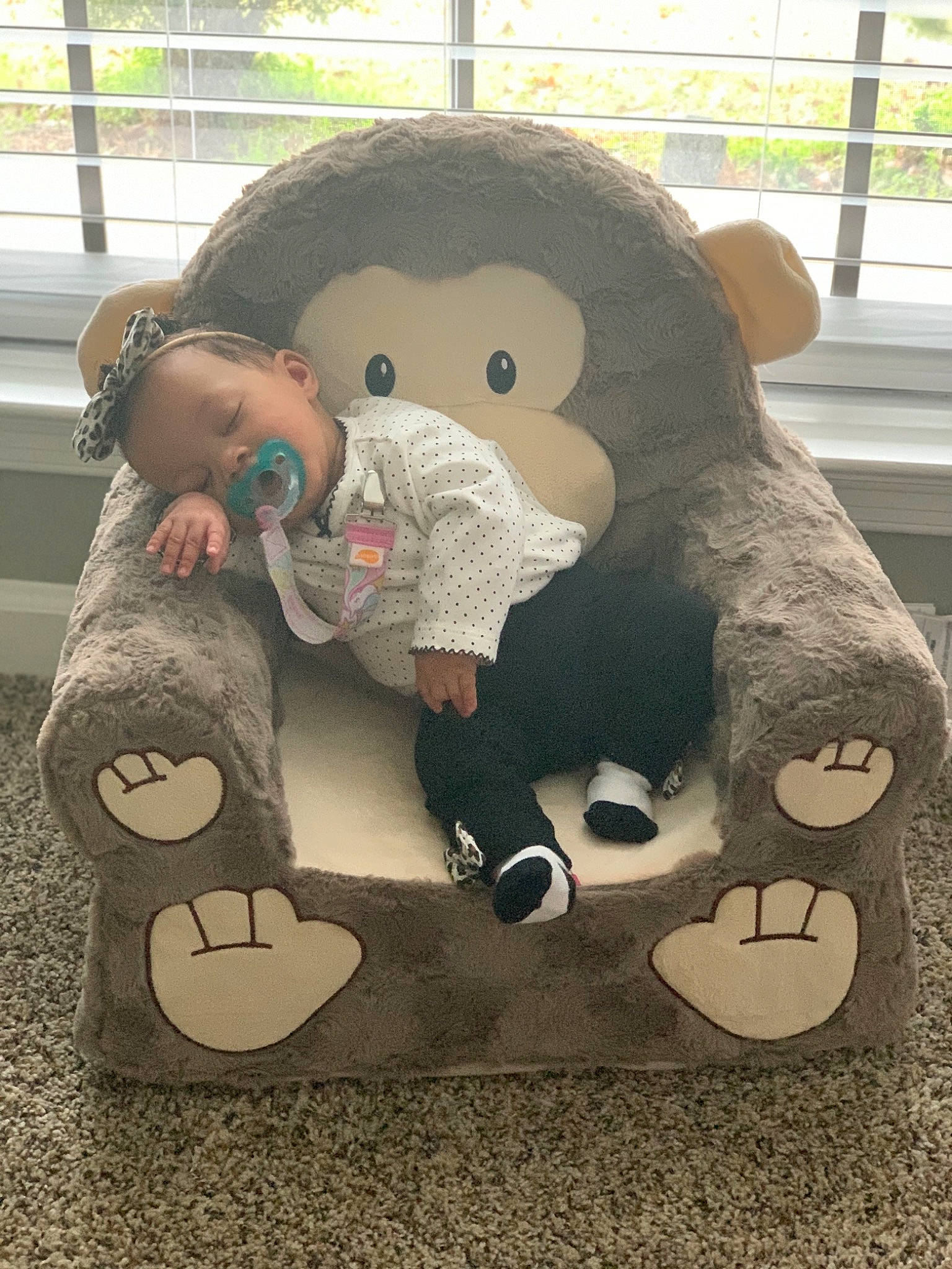 Mina joined the competition — help win amazing prizes! animal_figure, baby_toys, bear, daylighting, elephants_and_mammoths, person, plush, snout, terrestrial_animal, toy, window_blind, window_covering