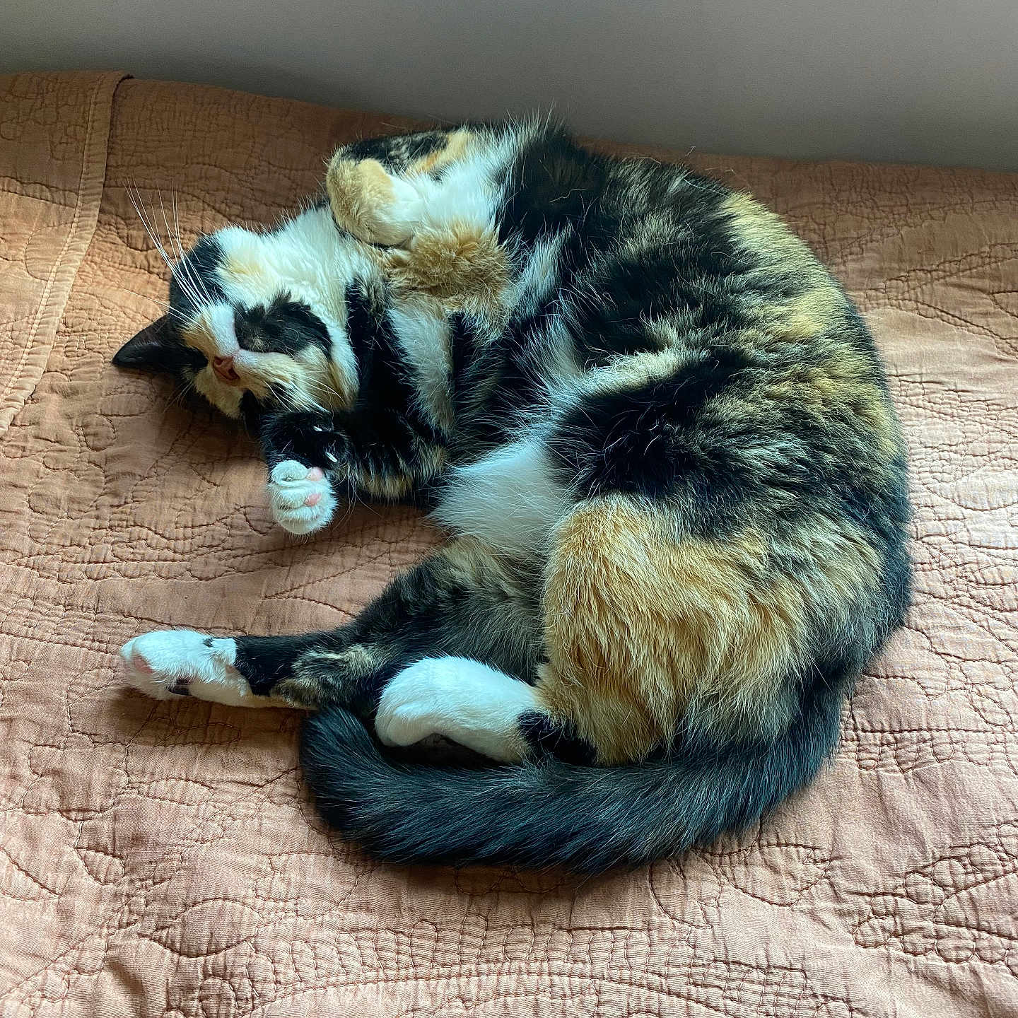 Peaches