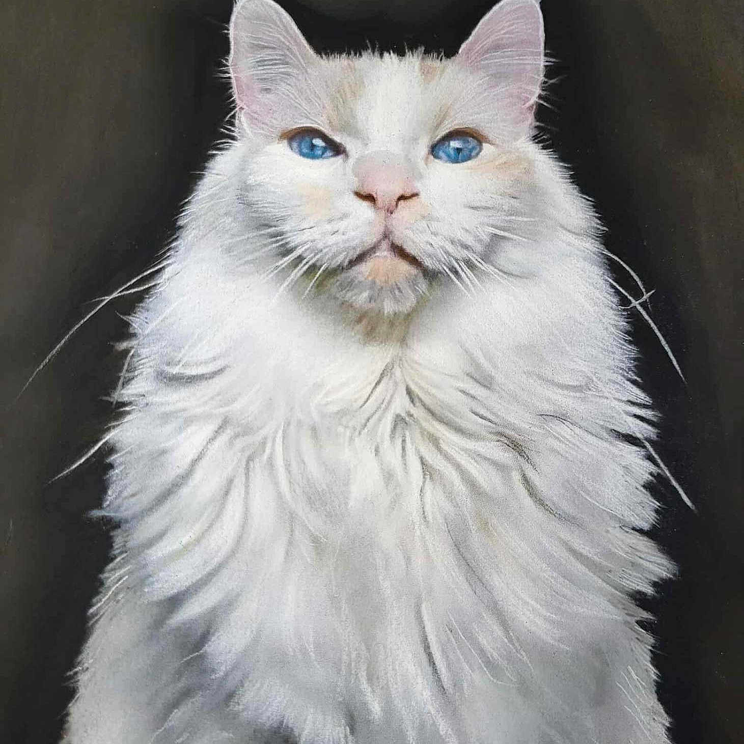 Ghost a rejoint le concours — aidez-le/la à gagner de superbes lots ! animal, artwork, blue_eyes, cat, closeup, dark_background, detailed, ears, feline, fluffy, majestic, nose, painting, portrait, realistic, serene, sitting, soft_texture, whiskers, white_fur