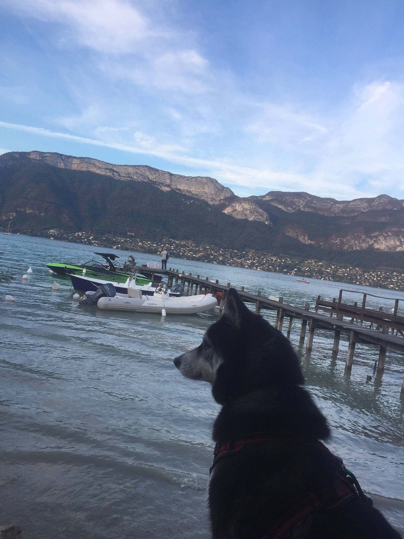 Gaïa a rejoint le concours — aidez-le/la à gagner de superbes lots ! beach, boat, boats_and_boating_equipment_and_supplies, canidae, carnivore, cloud, dock, dog, dog_breed, fence, horizon, lake, landscape, mountain, sky, sporting_group, tree, vehicle, water, watercraft