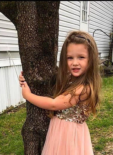 Remington joined the competition — help win amazing prizes! backyard, blond, day_dress, dress, home_fencing, long_hair, one_piece_garment, person, siding, trunk, window_treatment, yard