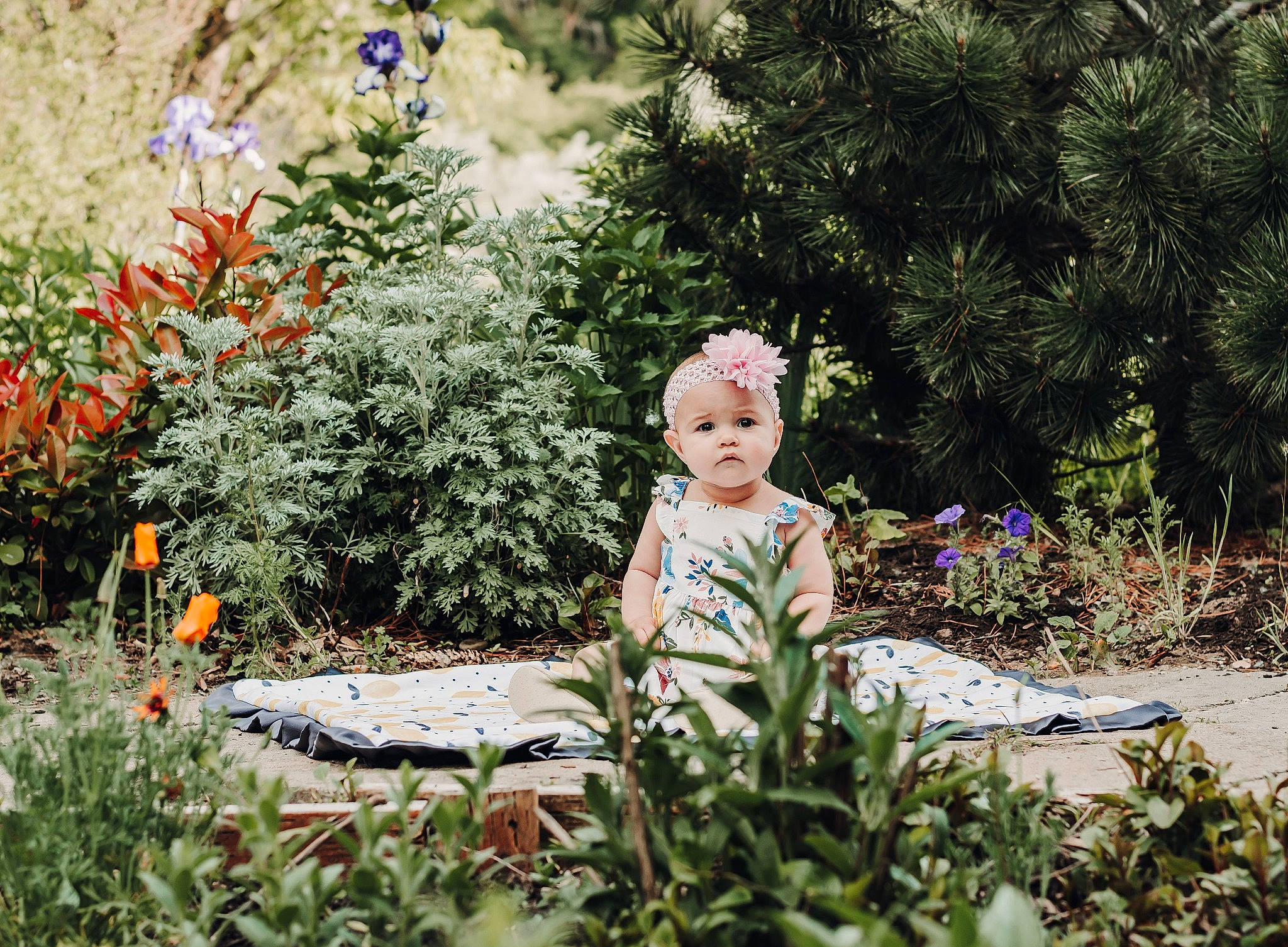 Emry joined the competition — help win amazing prizes! annual_plant, botanical_garden, botany, child, fawn, flower, garden, grass, leaf, person, plant, shrub, sitting, spring, summer, tree, vacation, wildflower, window
