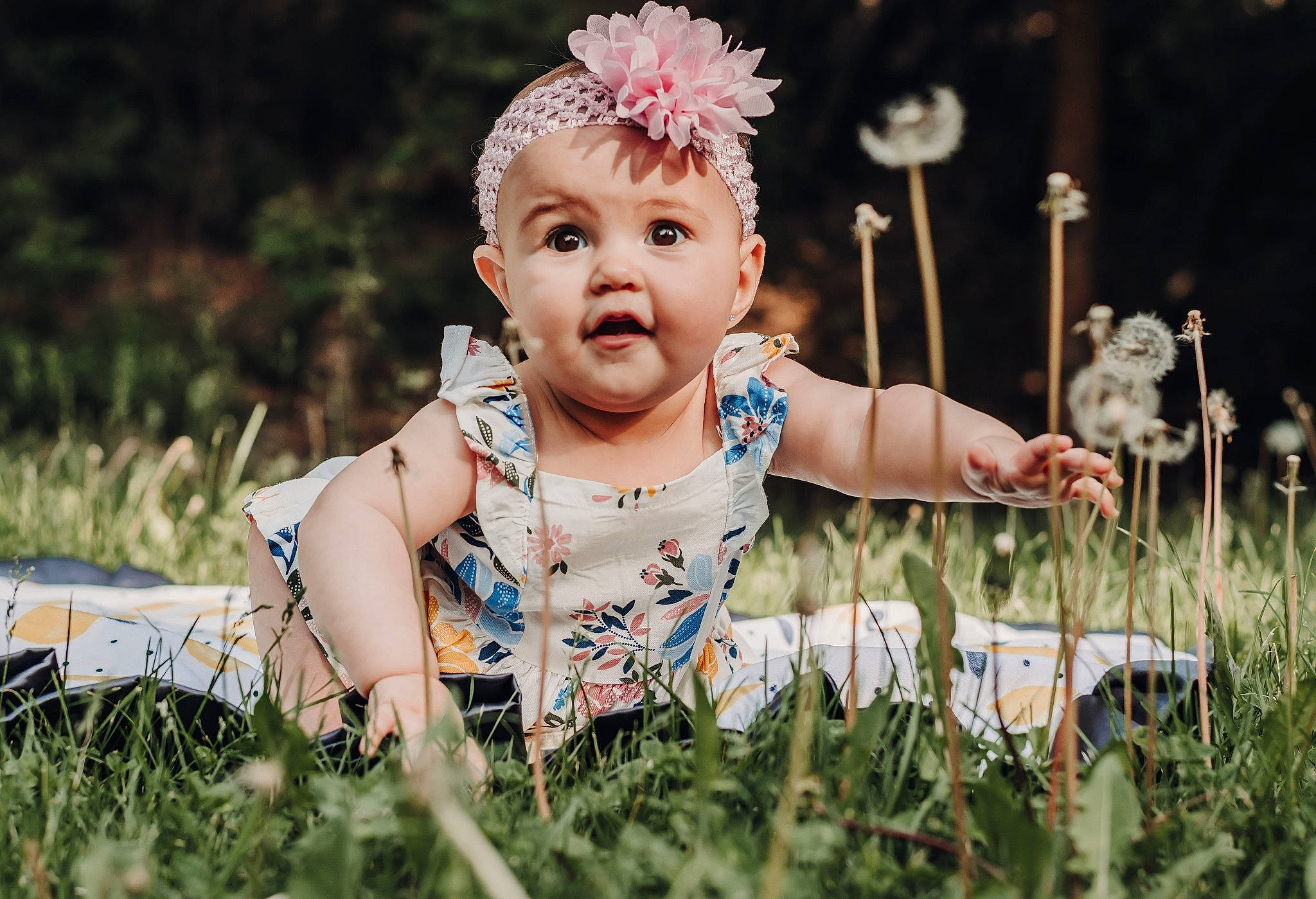 Emry is registered to the contest to win money with this photo: baby, beauty, child, dress, face, fun, grass, grass_family, hair_accessory, happy, head, headpiece, people_in_nature, person, photograph, photography, smile, spring, summer, toddler
