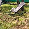cat, outdoor, grass, chair, recliner, tree, sunlight, pet, animal, relaxing, nature, garden, feline, daytime, resting, greenery, shade, summer, leisure, domestic_animal