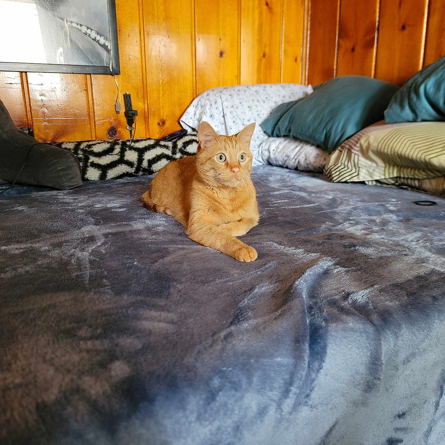 July Aka.bean